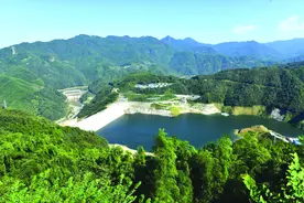 安徽六安：绿色振兴 赶超发展图片