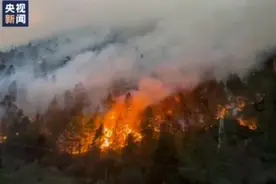 西藏林芝发生山火 火势迅猛 救援正在进行中图片