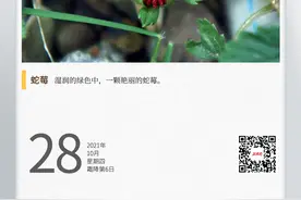 湖湘自然历丨蛇莓能吃吗图片