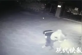 两次故意碾压流浪猫！警方：正寻找此人图片