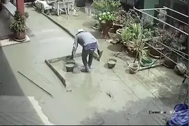 建筑工人很生气！泰国一只淘气狗子在还没凝固的水泥地上反复踩踏图片