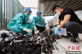 北京海关连续查获共计6.98吨动物毛皮碎料图片