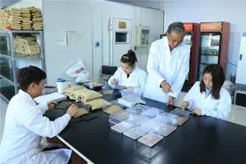 47年“死磕”一粒种子：探秘“中国饭碗”背后的小麦育种人图片