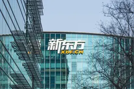 新东方回应停止K9业务：不受影响，“新东方在线”不等于“新东方”图片