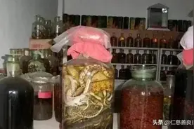 过了1小时，蛇突然张开嘴巴咬了自己的脖子！我们是不是太残忍啊图片