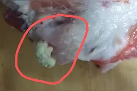 辽阳市民在市场买到冒“脓”猪肉，能吃吗？图片