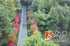 美丽蓝山：红枫换“红装”深秋美如画图片