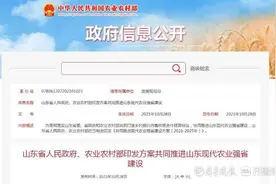 山东省政府、农业农村部印发方案，共同推进山东现代农业强省建设图片