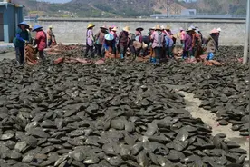 直播买蚌开珠能薅羊毛？我们告诉你背后套路丨消保委监督图片