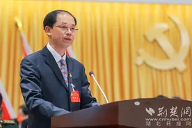 黄石下陆立足中心城区 建设同城化发展示范区的首善之区图片