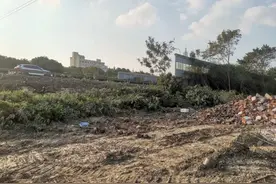 S4再造新辅道？图片