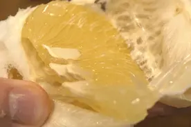 来了来了，柚柚柚柚柚柚柚来了！图片