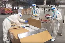 法国六款“明星苹果”来了！进博会首批水果展品完成通关图片