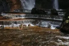 “废话文学”大赛！没想到你是这样的宝鸡！图片