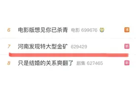 河南发现特大型金矿！记者揭秘真实淘金现场→图片