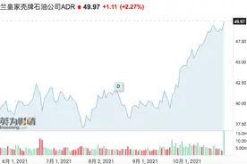 投资者呼吁分拆壳牌，减碳风暴中油气巨头纷纷“去油”图片