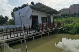 擅占农用地违建、小区私搭雨棚？里水重拳打击各类违建行为！图片