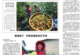 养母牛卖牛犊赚得多图片