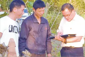 自治增活力，法治强保障，德治扬正气，浙江桐乡——“三治融合”促基层善治（人民眼·基层治理）图片