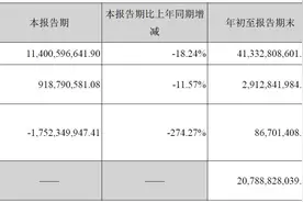 “神队友”翻脸？阳光城净利润大跌，泰康投下反对票图片