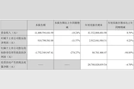 “神队友”翻脸？阳光城净利润大跌，泰康投下反对票图片