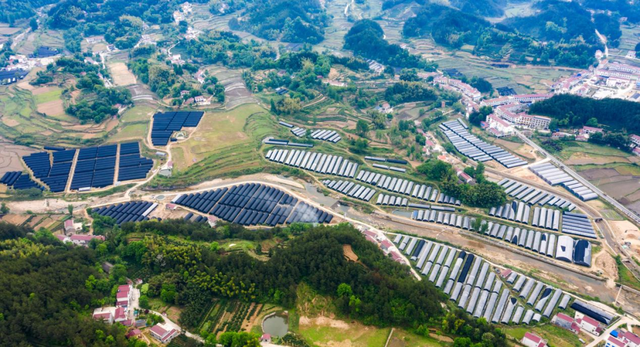 安徽霍山石斛种植基地