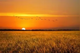 时间，不会说谎（经典）图片