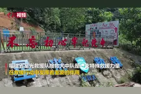 看福建星光救援队搜救犬玩转“十八般武艺”视频封面