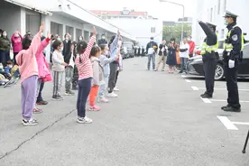 学习交通手势操、与警犬互动，文诚幼儿园师生及家长走进警营图片