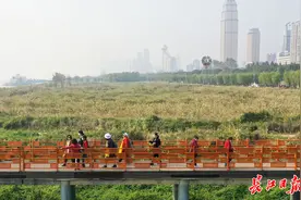 今日或有小雨来“串门”，周末晴好宜出行图片