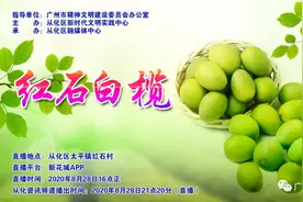 利咽消肿！从化这种食物，你知道吗？图片