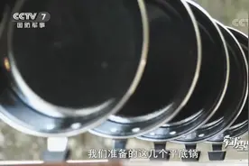 猛！在它面前，5个平底锅被瞬间击穿图片