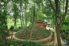 终于，我来到了苏坟山图片
