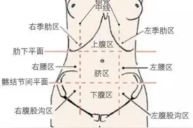 腹痛？送您一张“腹部地图”图片