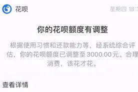 花呗更新了：一个限制级功能图片