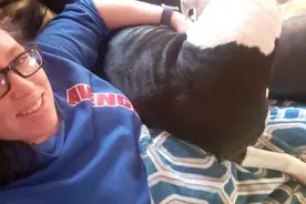 发现女主人怀孕后，狗狗寸步不离保护，连洗澡也跟着，太暖了图片