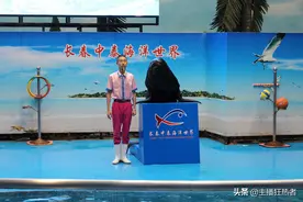 长春中泰海洋世界图片