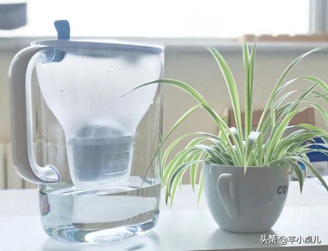 花胶香菇排骨汤 2026年花胶香菇排骨汤怎么做