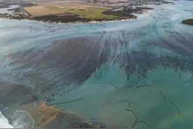 毛里求斯宣布日本搁浅货船抽油工作结束，约1000吨漏油使蓝湾变“黑湾”，生态劫难或持续几十年图片