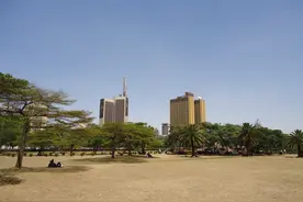 非洲肯尼亚生活工作经历分享-4（在肯尼亚喝什么）图片