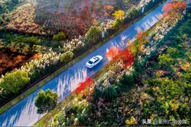 超美！衢州这些省级精品道路，在你家附近吗？图片