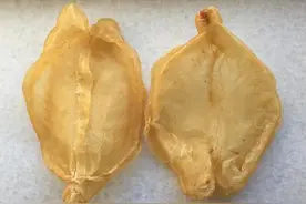 鱼胶/花胶的“业内术语”，原来还有这含义，看完再也不怕被忽悠图片