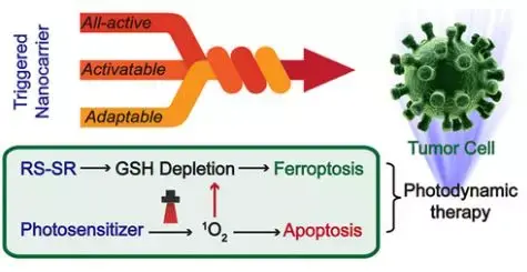 2019年MOFs材料最新进展大盘点