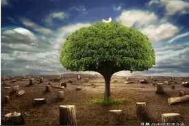 珠穆朗玛峰永久关闭！背后真相令国人一片哗然图片