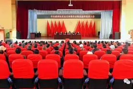 云南驿镇：物色“硬肩膀”，选好“领头羊”图片