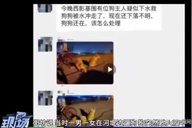 男子遛狗被自家宠物拽下江后失踪 家属：狗大约30斤重图片