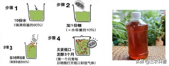 自制酵素为什么加红糖，而不是白糖或蜂蜜，现在终于明白了！