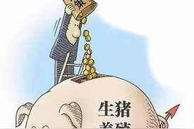 农业农村部：投资17亿助力养猪场，小养猪场不用办环评，2种补贴图片