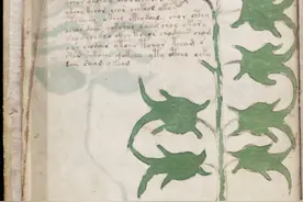 世界奇书伏尼契手稿，能看懂的不是一般人图片