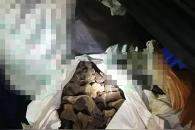 泸州奇葩岳父坑“女婿” 结局意外……图片